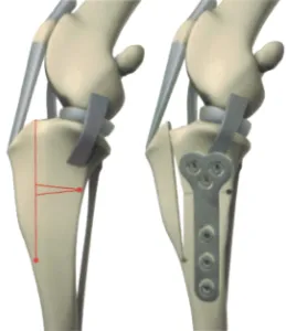 TTO Diagram