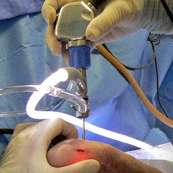 BoneVet performing arthroscopy